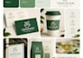 design a modern logo and complete brand identity package